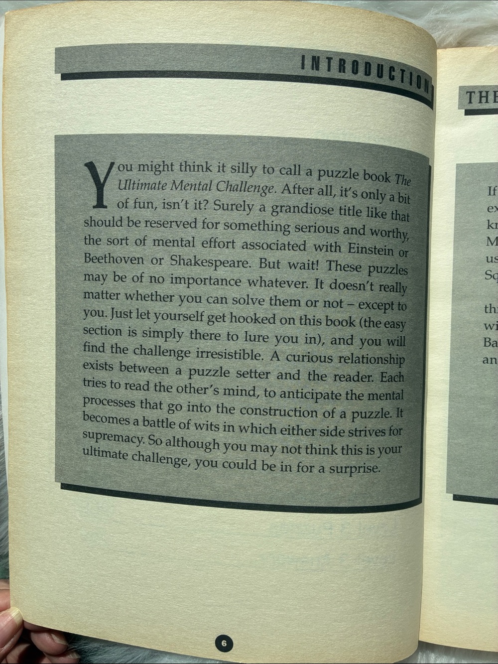 Booksof Puzzlements - Picture 10 of 16